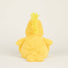 Load image into Gallery viewer, Woodstock Warmies