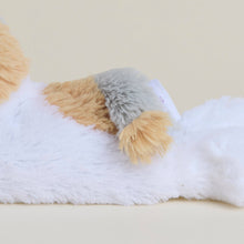 Load image into Gallery viewer, Calico Cat Warmies Junior