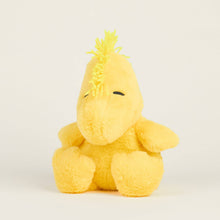 Load image into Gallery viewer, Woodstock Warmies