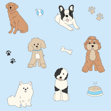 Load image into Gallery viewer, Doggie Day Care Zipper Footie - Boy