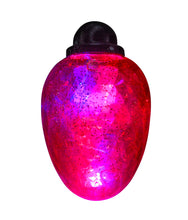 Load image into Gallery viewer, Holiday Light Up Bouncy Ball, Assorted Colors