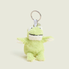 Load image into Gallery viewer, Frog Keyring
