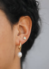 Load image into Gallery viewer, Seashell - Gold Earrings
