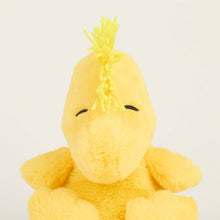 Load image into Gallery viewer, Woodstock Warmies
