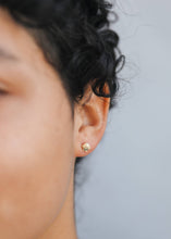 Load image into Gallery viewer, Seashell - Gold Earrings
