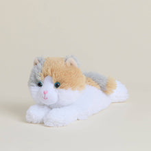 Load image into Gallery viewer, Calico Cat Warmies Junior
