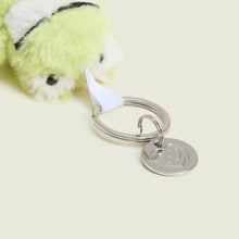 Load image into Gallery viewer, Frog Keyring
